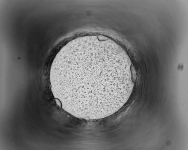 X0000103411494200810241156