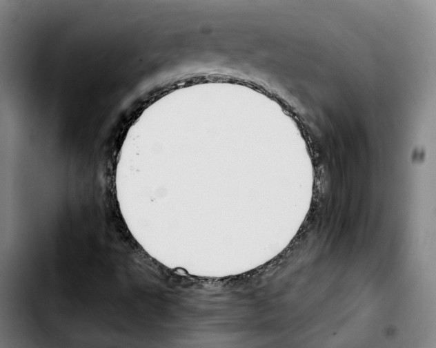 X0000103411495200810241156