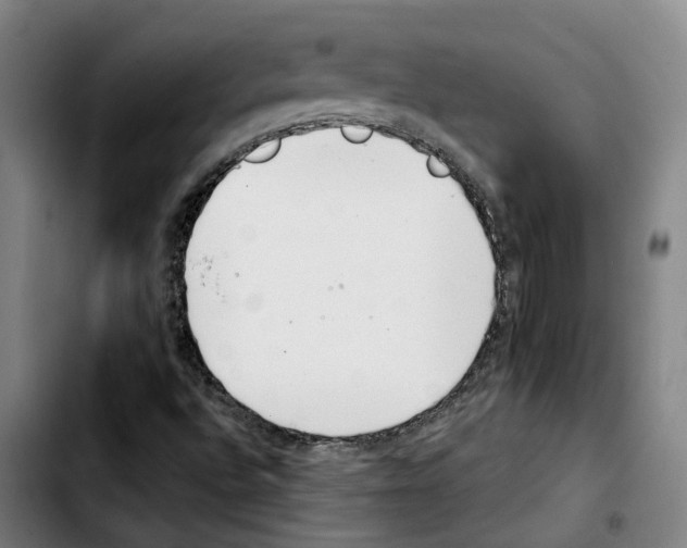 X0000103411496200810241156