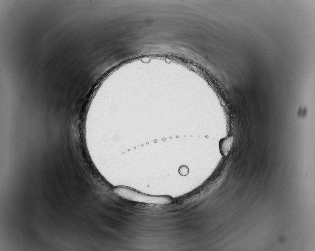 X0000103411497200810241156