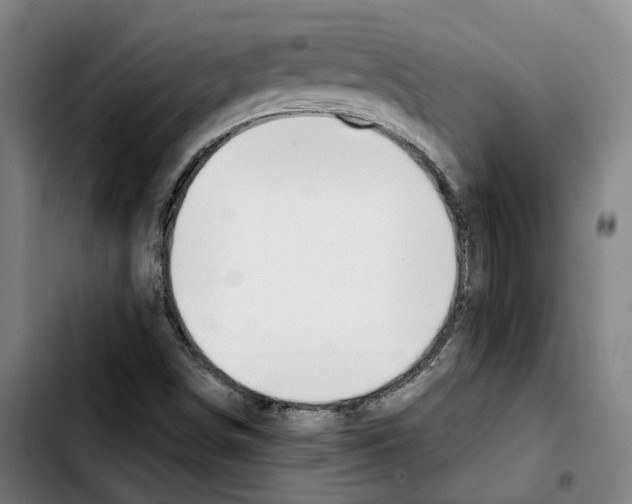 X0000103411498200810241156