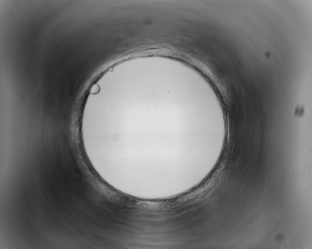 X0000103411500200810241156