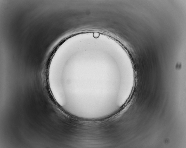 X0000103411502200810241156