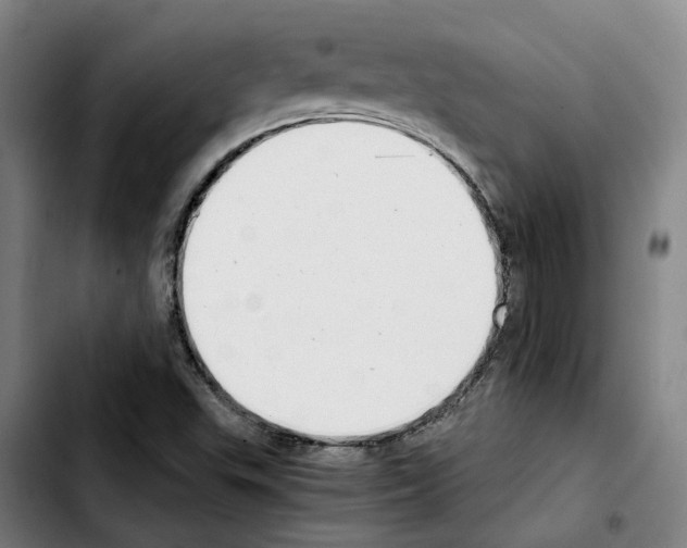 X0000103411503200810241156