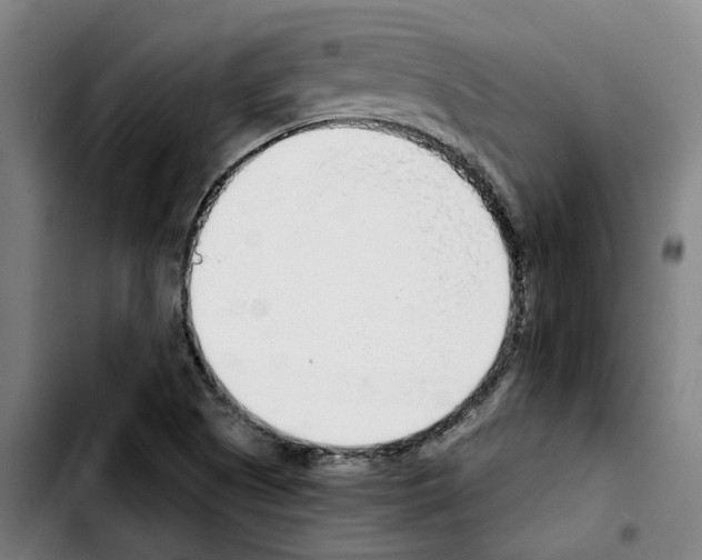 X0000103411505200810241156