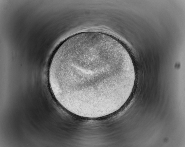 X0000103411506200810241156