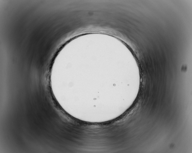 X0000103411507200810241156