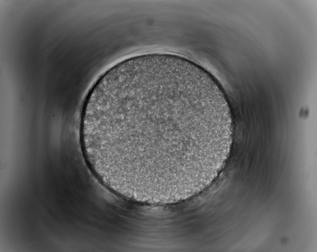 X0000103411508200810241156