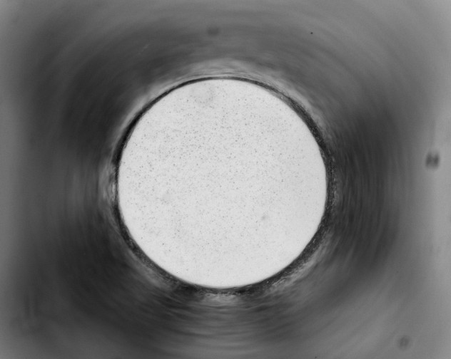 X0000103411509200810241156