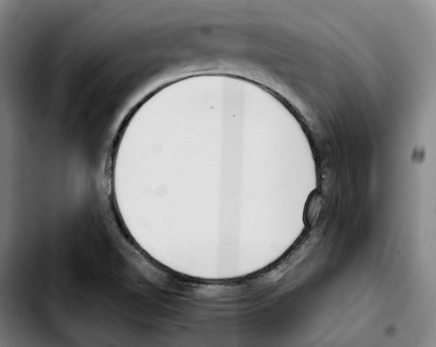 X0000103411510200810241156