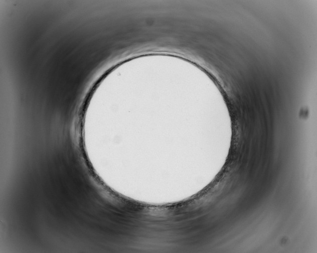 X0000103411511200810241156