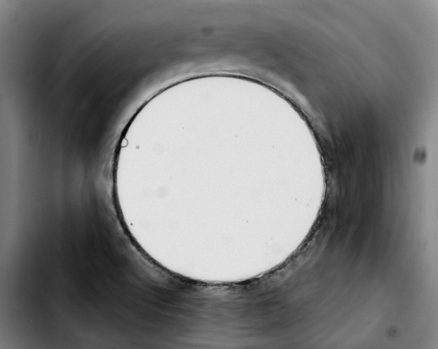 X0000103411512200810241156