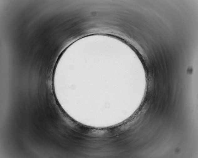 X0000103411513200810241156