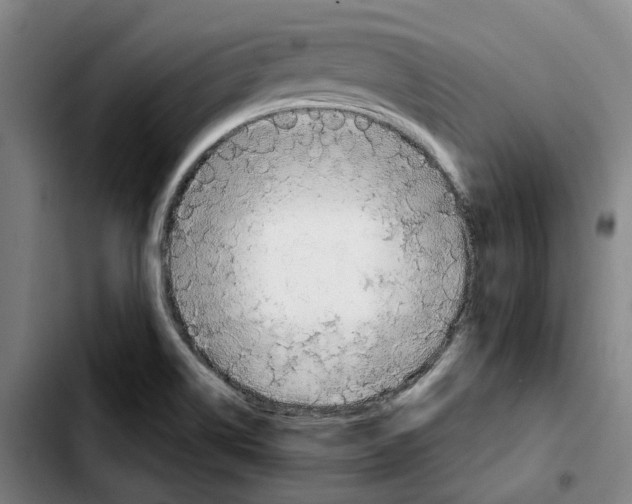 X0000103411514200810241156