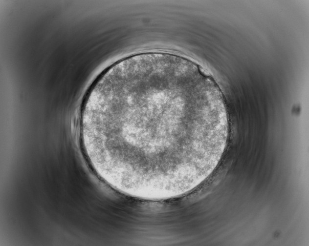 X0000103411515200810241156