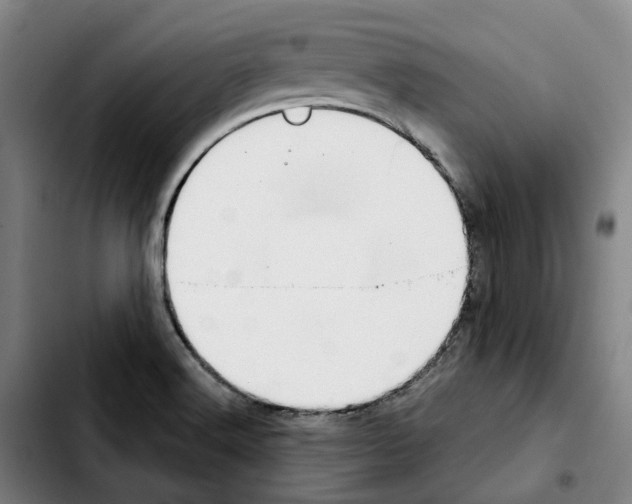 X0000103411516200810241156