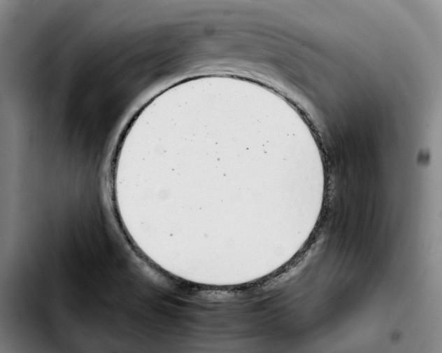 X0000103411517200810241156