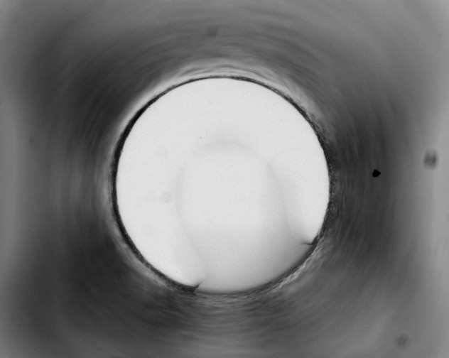 X0000103411518200810241156