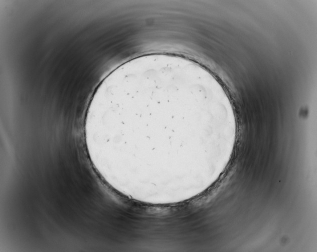 X0000103411521200810241156