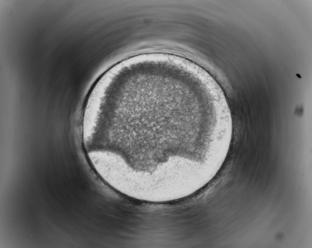 X0000103411522200810241156