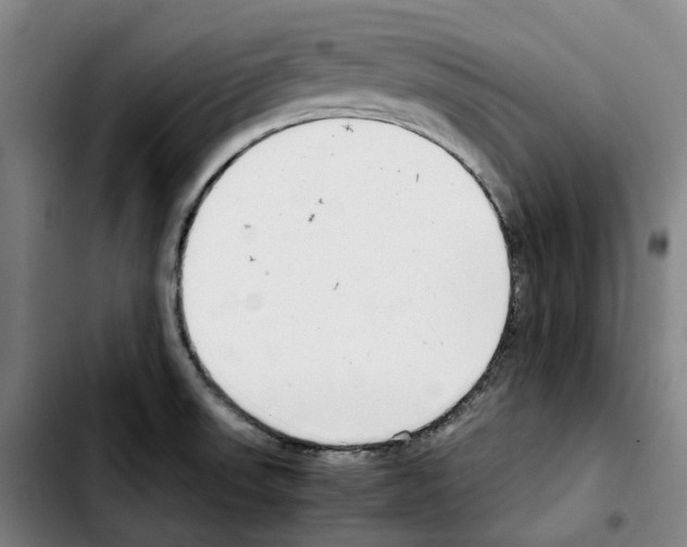 X0000103411523200810241156