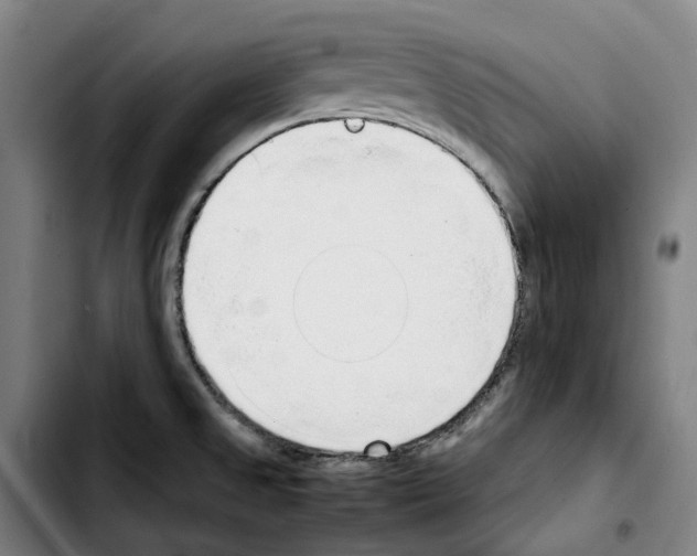 X0000103411525200810241156