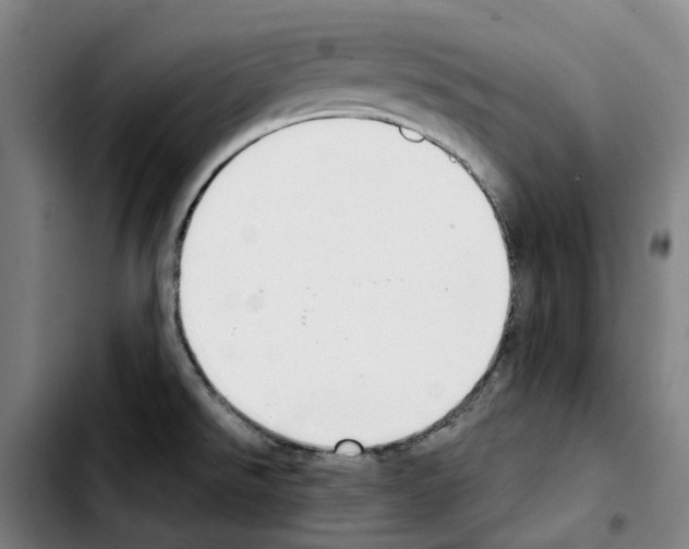 X0000103411526200810241156