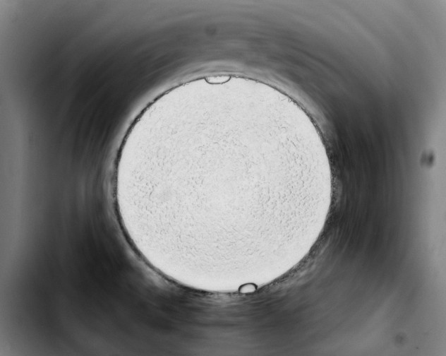 X0000103411527200810241156