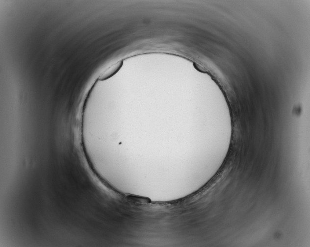 X0000103411528200810241156