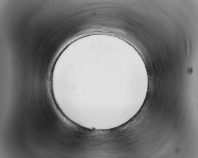 X0000103411531200810241156