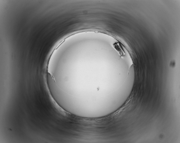 X0000103411532200810241157