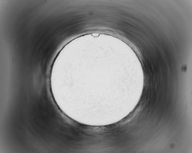 X0000103411533200810241157