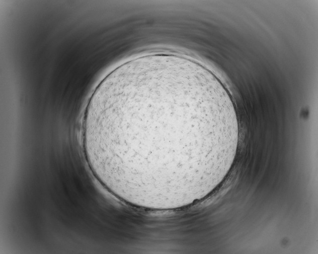 X0000103411535200810241157