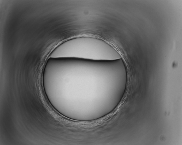 X0000103420001200809121024