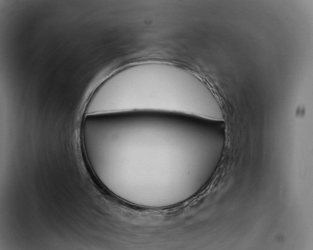 X0000103420004200809121023