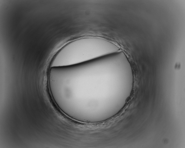 X0000103420005200809121023