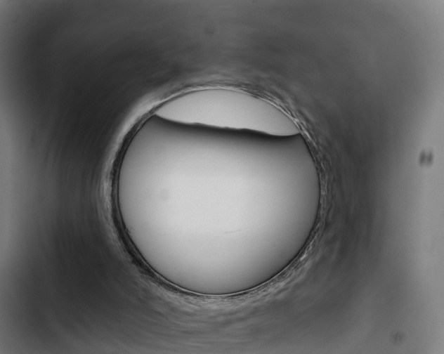 X0000103420006200809121023