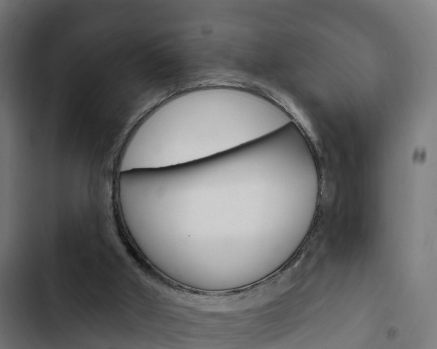 X0000103420010200809121023