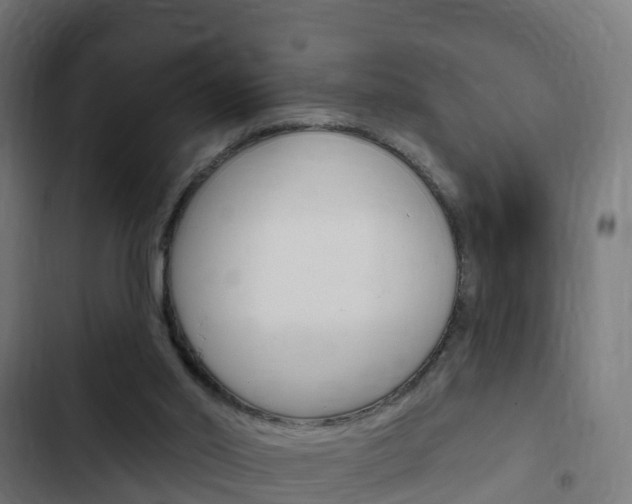 X0000103420014200809121023