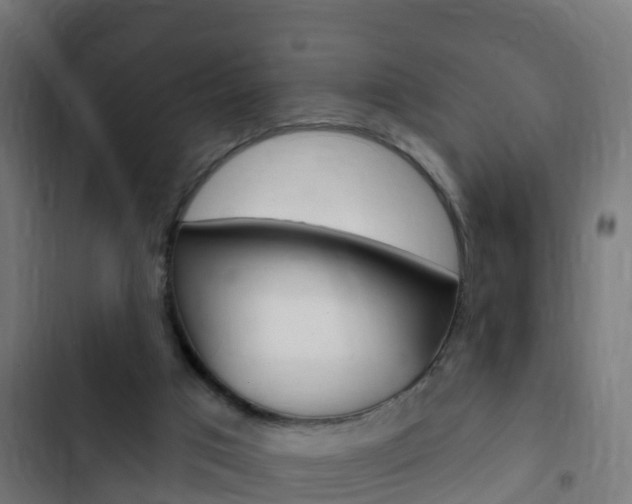 X0000103420017200809121023