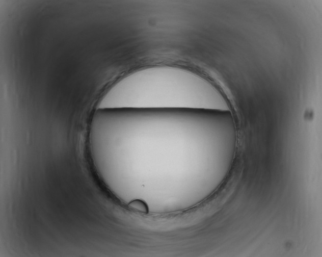 X0000103420018200809121023