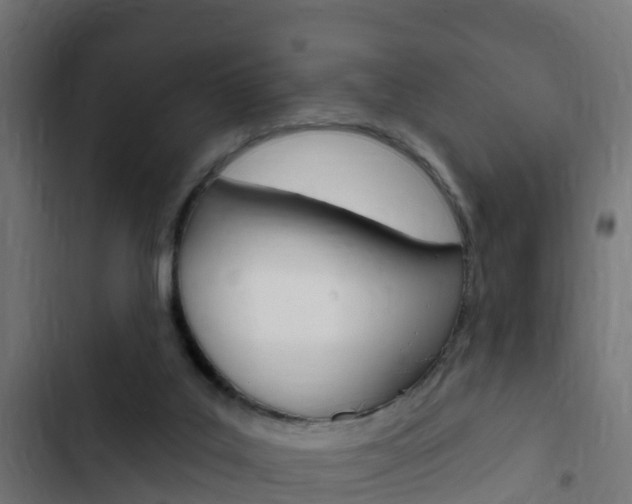 X0000103420019200809121023