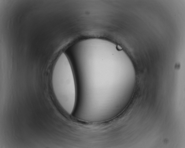 X0000103420020200809121023