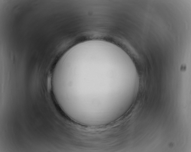X0000103420022200809121023