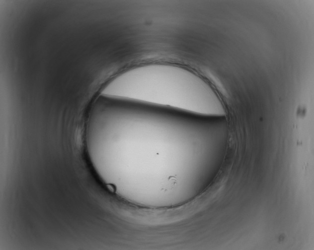 X0000103420023200809121023