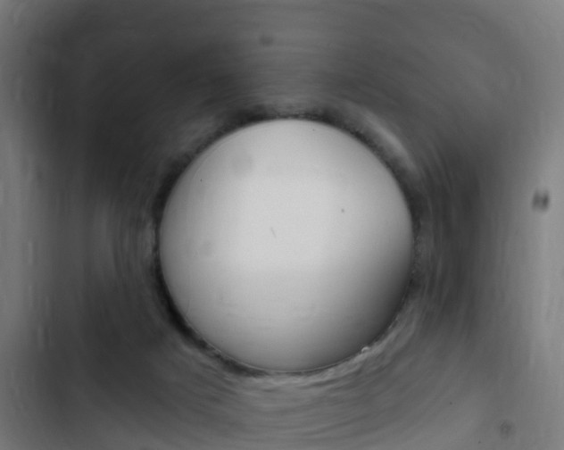X0000103420025200809121023