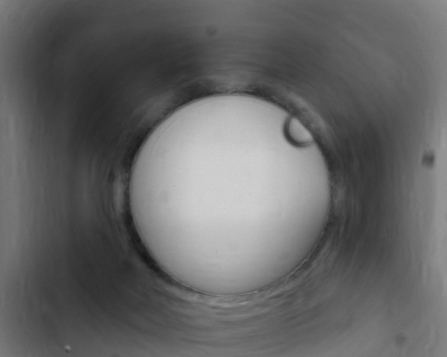 X0000103420026200809121023