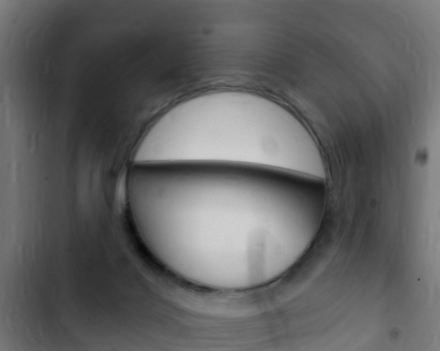 X0000103420028200809121023