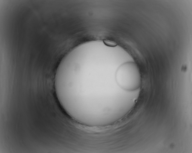 X0000103420030200809121023