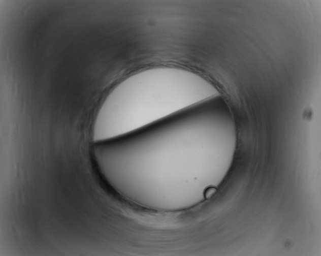 X0000103420032200809121023